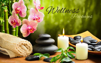 Skytone Travels  and Tourism LLC UAE. | Wellness Packages