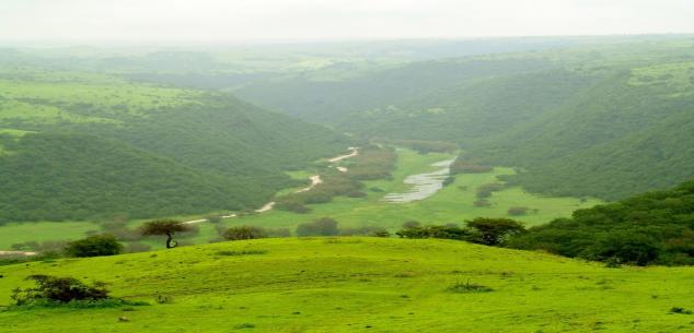 Skytone Travels  and Tourism LLC UAE. | Enchanting Salalah